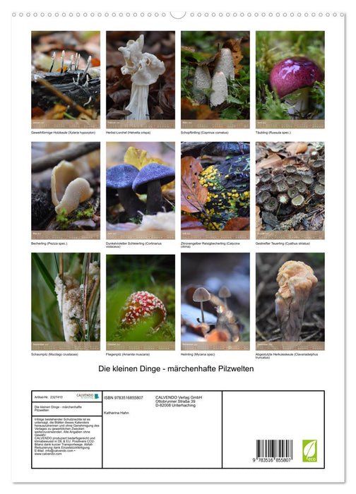 Die kleinen Dinge - märchenhafte Pilzwelten (CALVENDO Premium Wandkalender 2027)