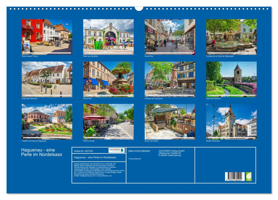 Haguenau - eine Perle im Nordelsass (CALVENDO Wandkalender 2027)