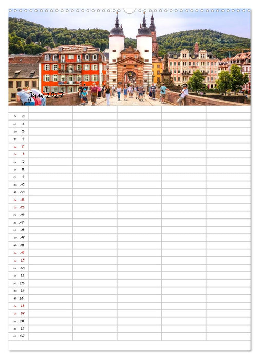 Heidelberger Familienkalender (CALVENDO Premium Wandkalender 2027)