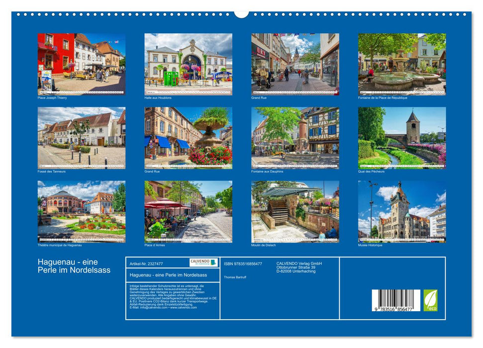 Haguenau - eine Perle im Nordelsass (CALVENDO Premium Wandkalender 2027)