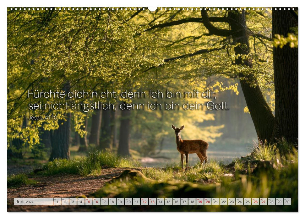 Psalmen und Bibelverse - Himmlische Botschaften (CALVENDO Wandkalender 2027)