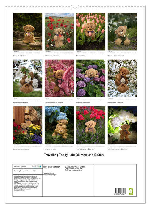 Travelling Teddy liebt Blumen und Blüten (CALVENDO Wandkalender 2027)