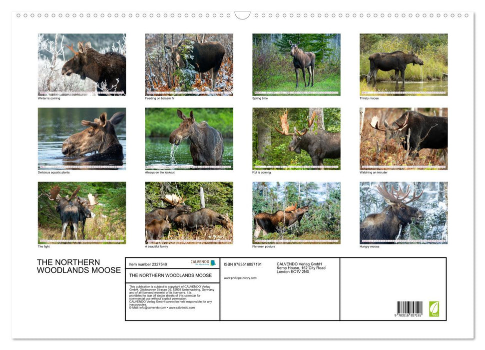 THE NORTHERN WOODLANDS MOOSE (CALVENDO Monthly Calendar 2027)