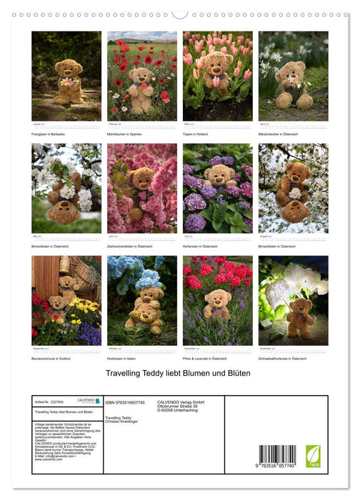 Travelling Teddy liebt Blumen und Blüten (CALVENDO Premium Wandkalender 2027)