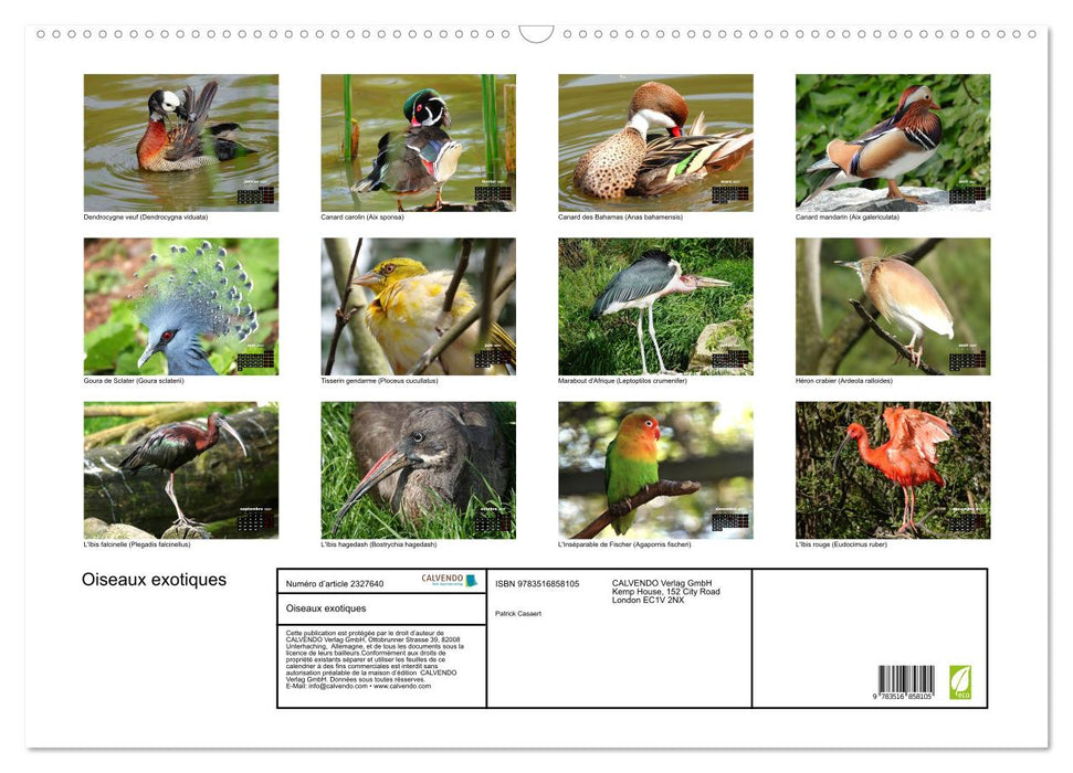 Oiseaux exotiques (CALVENDO Calendrier mensuel 2027)