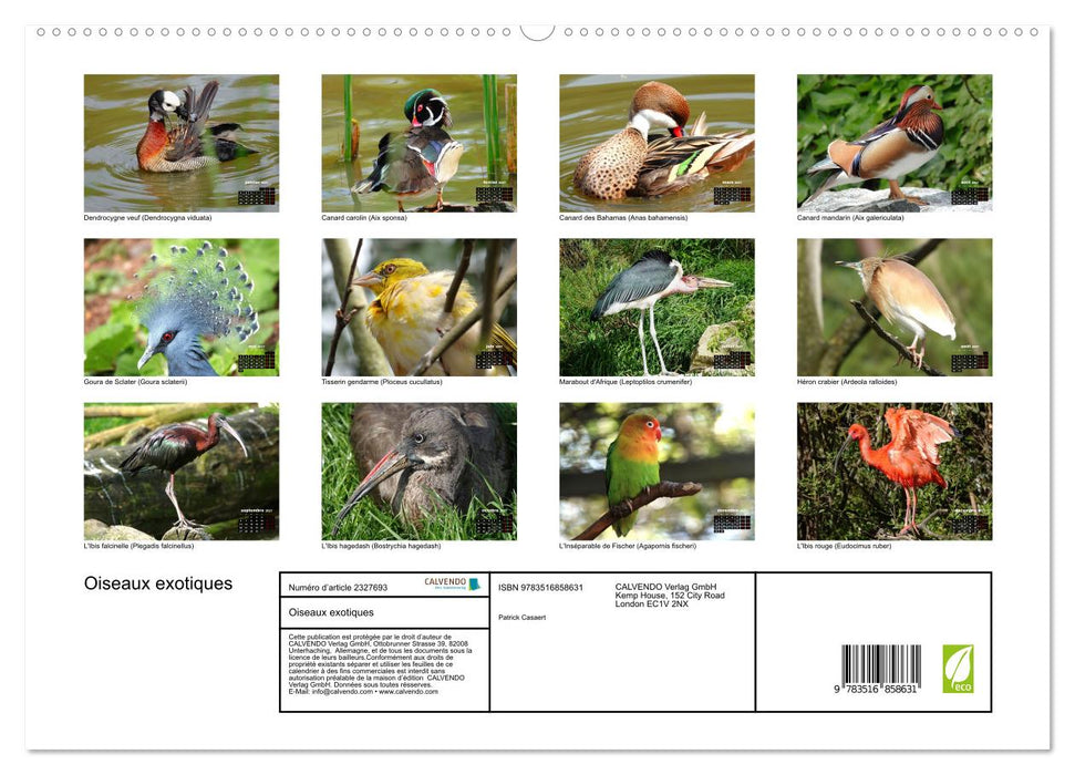 Oiseaux exotiques (CALVENDO Calendrier supérieur 2027)
