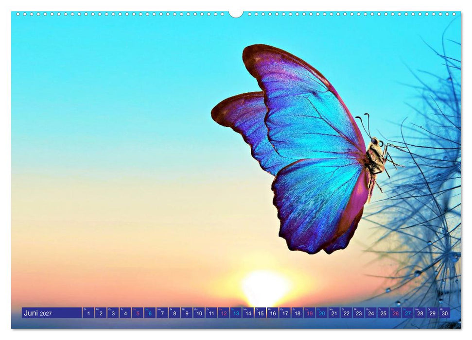 Die Welt in Blau (CALVENDO Wandkalender 2027)