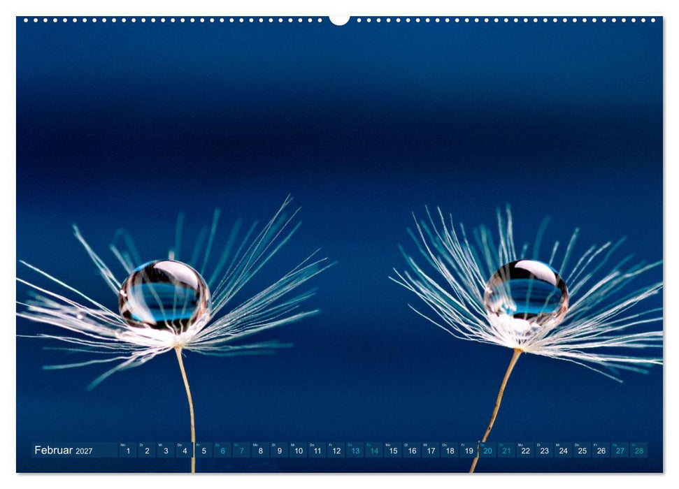 Die Welt in Blau (CALVENDO Premium Wandkalender 2027)