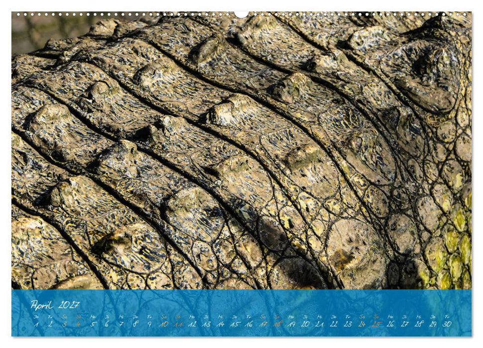 Natur abstrakt Farben und Strukturen (CALVENDO Wandkalender 2027)