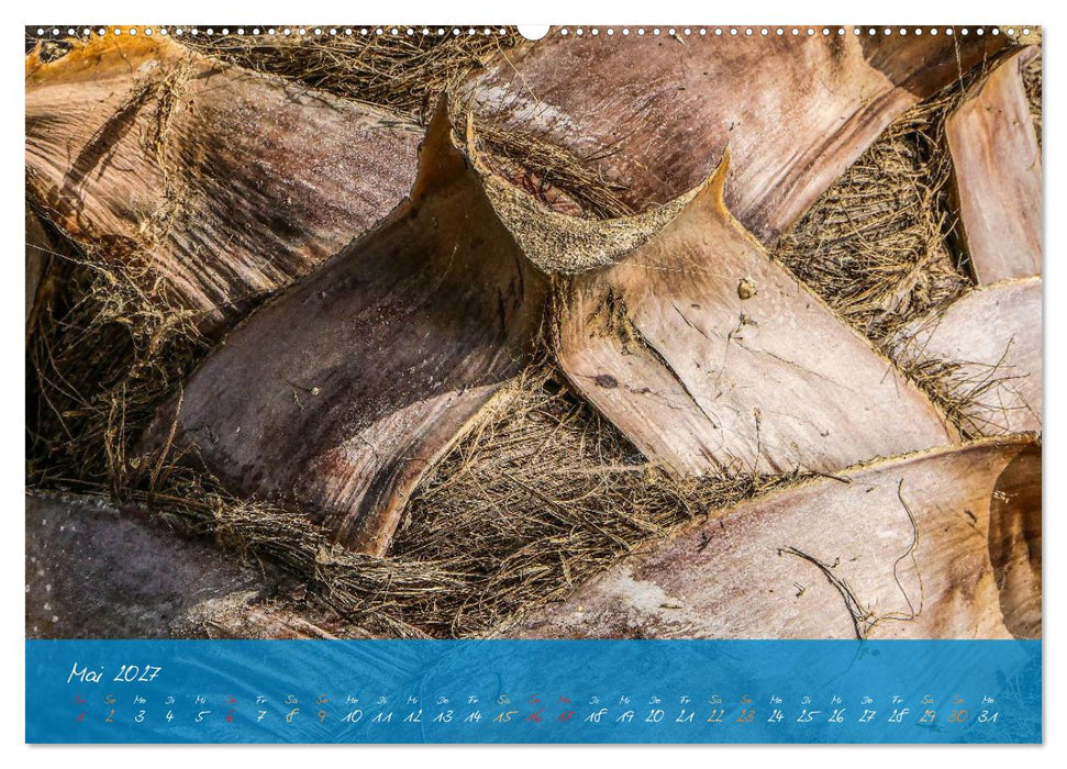 Natur abstrakt Farben und Strukturen (CALVENDO Wandkalender 2027)