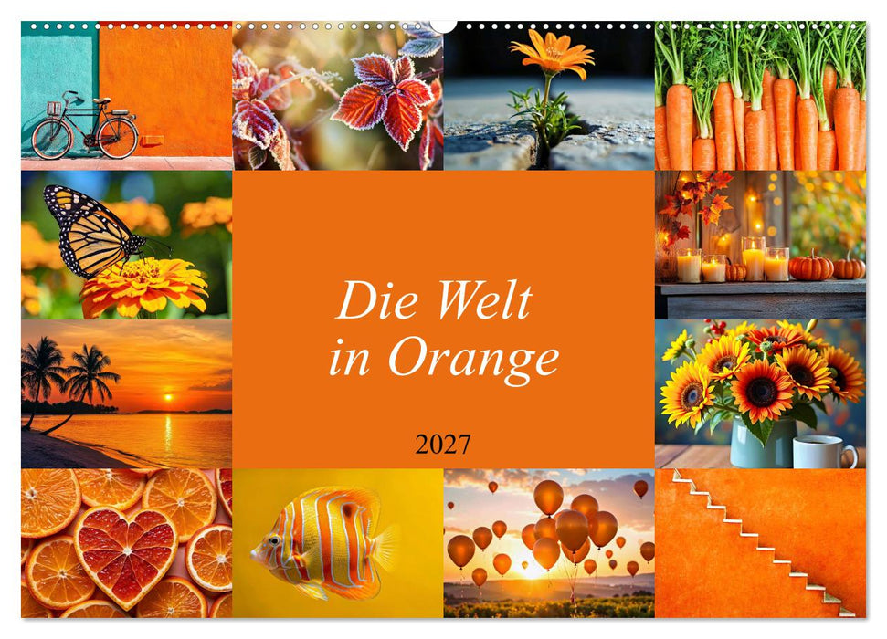Die Welt in Orange (CALVENDO Wandkalender 2027)