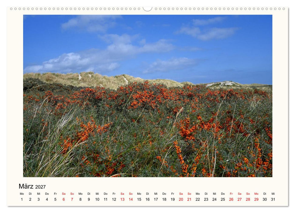 Borkum - Ruhig inmitten der Wogen (CALVENDO Premium Wandkalender 2027)