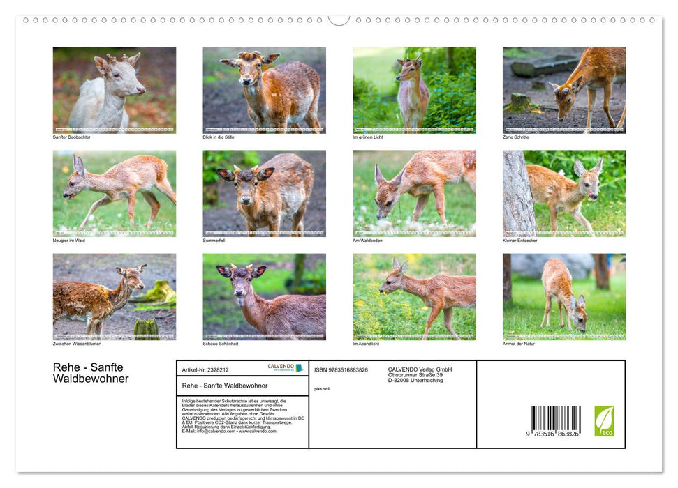 Rehe - Sanfte Waldbewohner (CALVENDO Premium Wandkalender 2027)