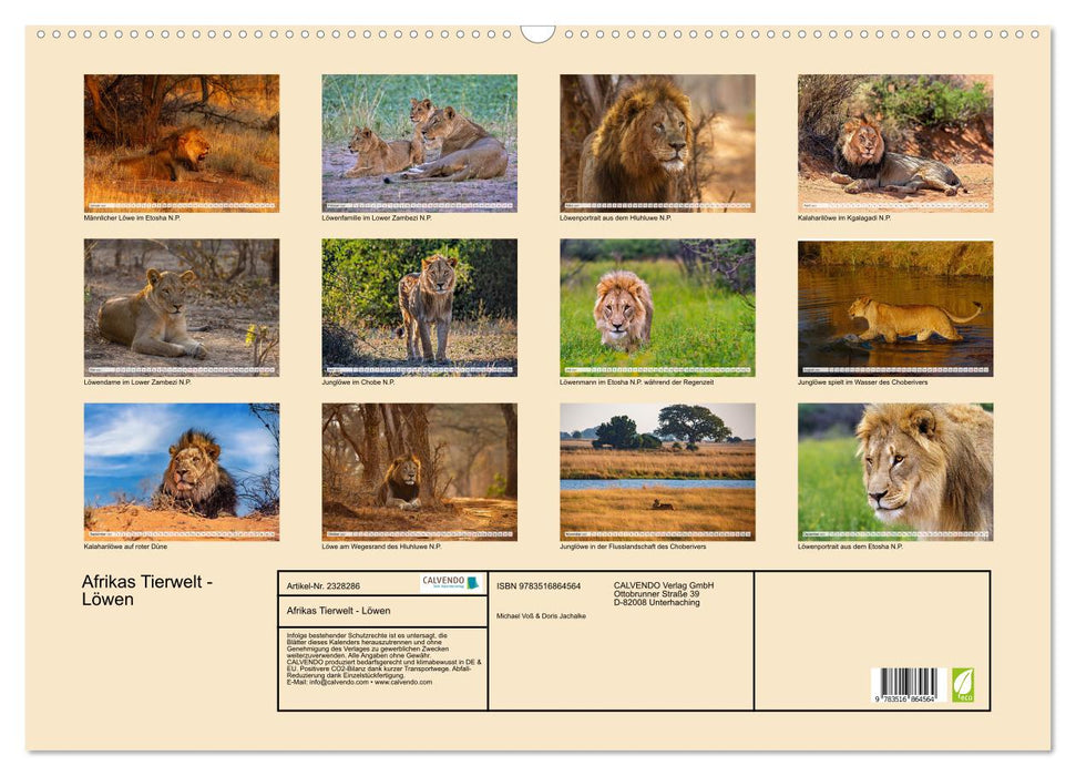 Afrikas Tierwelt - Löwen (CALVENDO Wandkalender 2027)