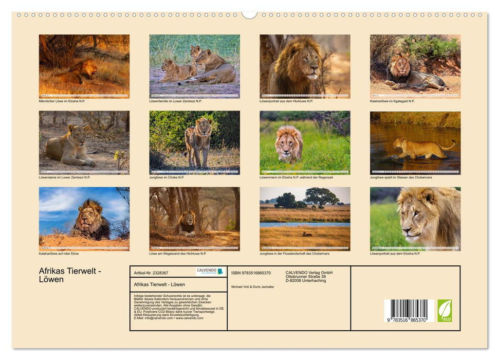Afrikas Tierwelt - Löwen (CALVENDO Premium Wandkalender 2027)