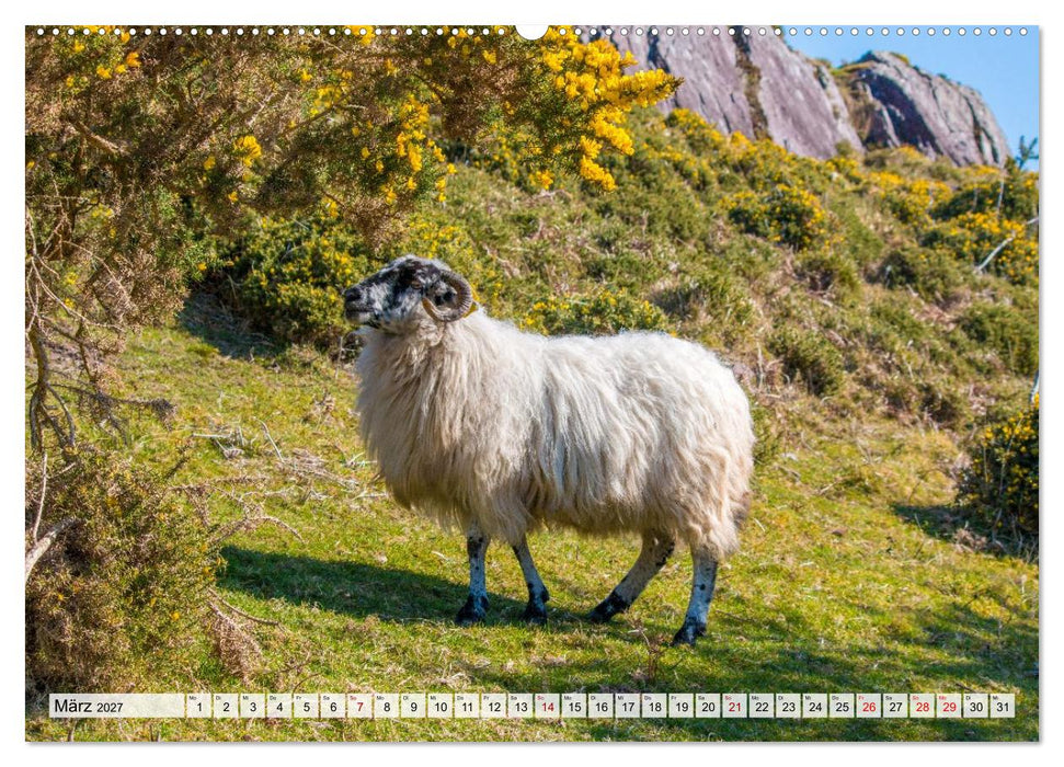 Kerry - Die grüne Perle Irlands (CALVENDO Premium Wandkalender 2027)