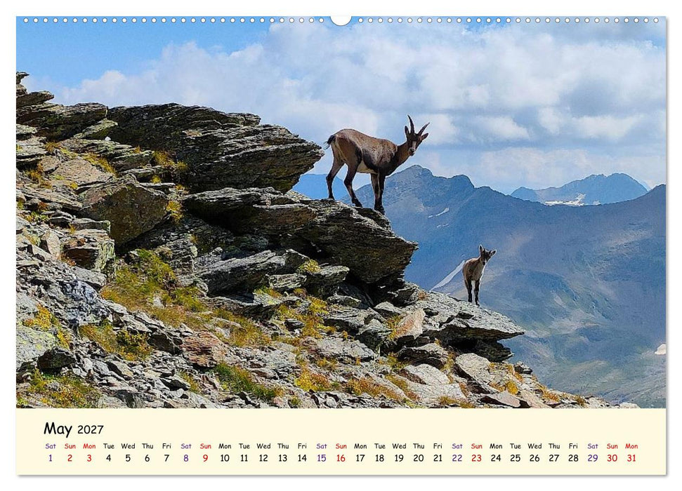 Switzerland and its majestic Alps (CALVENDO Monthly Calendar 2027)