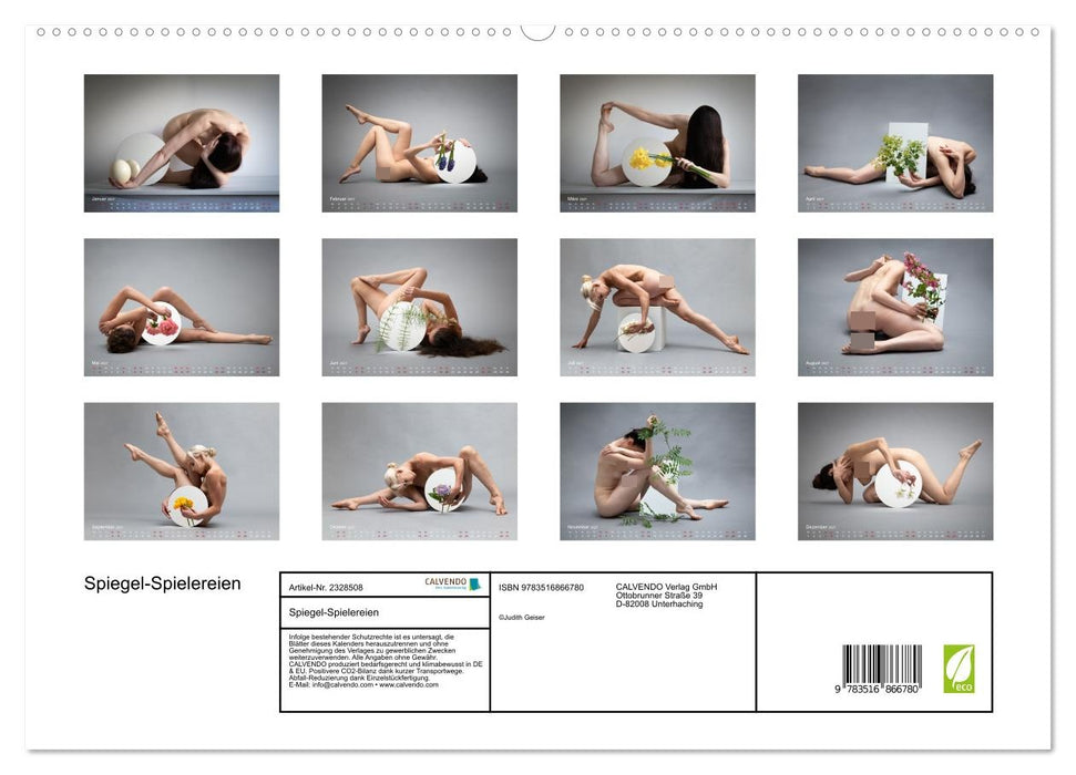 Spiegel-Spielereien (CALVENDO Premium Wandkalender 2027)