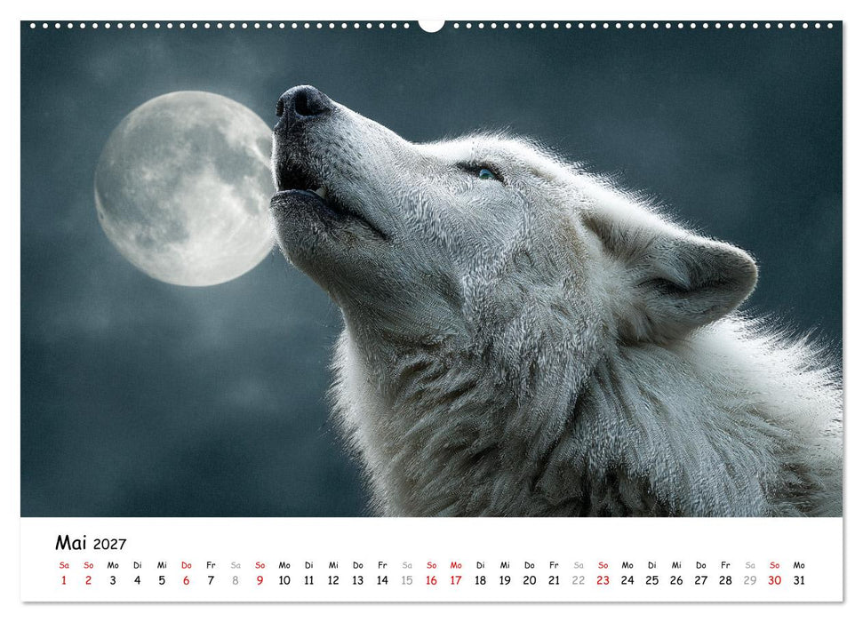 Wölfe im Mondlicht - Ruf der Wildnis (CALVENDO Wandkalender 2027)
