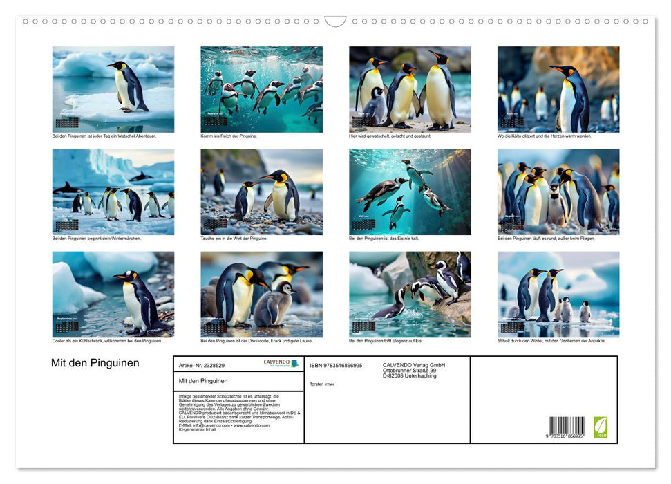 Mit den Pinguinen (CALVENDO Wandkalender 2027)