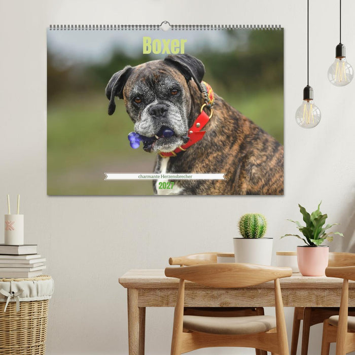 Boxer - charmante Herzensbrecher (CALVENDO Wandkalender 2027)