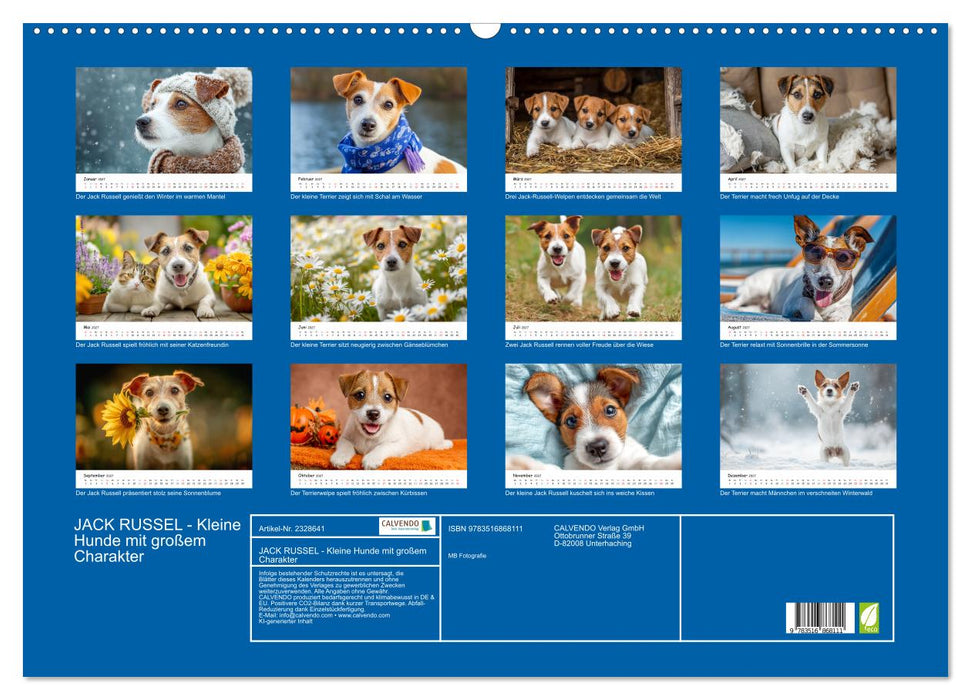 JACK RUSSEL - Kleine Hunde mit großem Charakter (CALVENDO Wandkalender 2027)