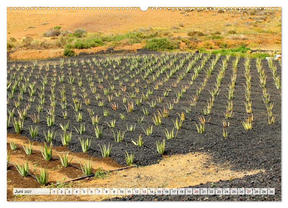 Fuerteventura – Von Stränden und Bergen (CALVENDO Premium Wandkalender 2027)
