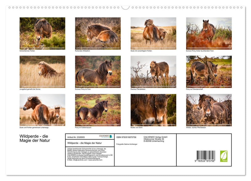 Wildperde - die Magie der Natur (CALVENDO Premium Wandkalender 2027)