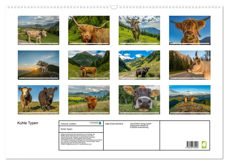 Kuhle Typen (CALVENDO Wandkalender 2027)