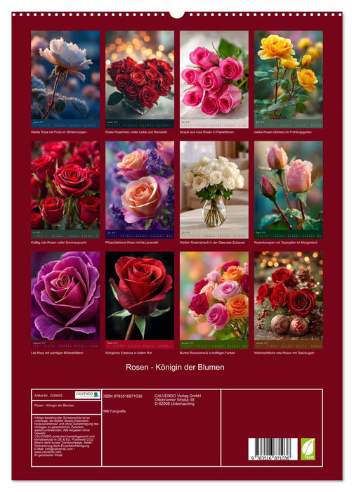 Rosen - Königin der Blumen (CALVENDO Premium Wandkalender 2027)