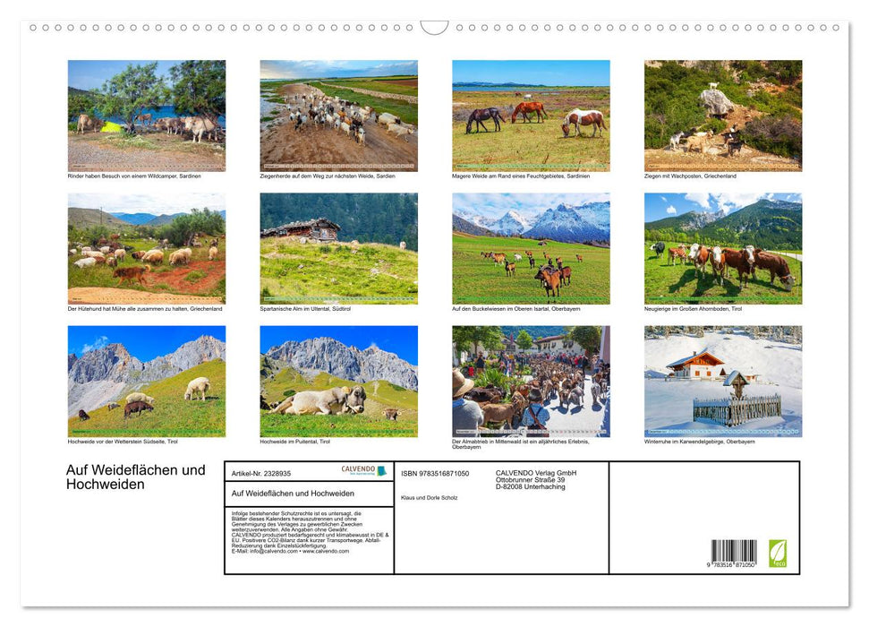Auf Weideflächen und Hochweiden (CALVENDO Wandkalender 2027)