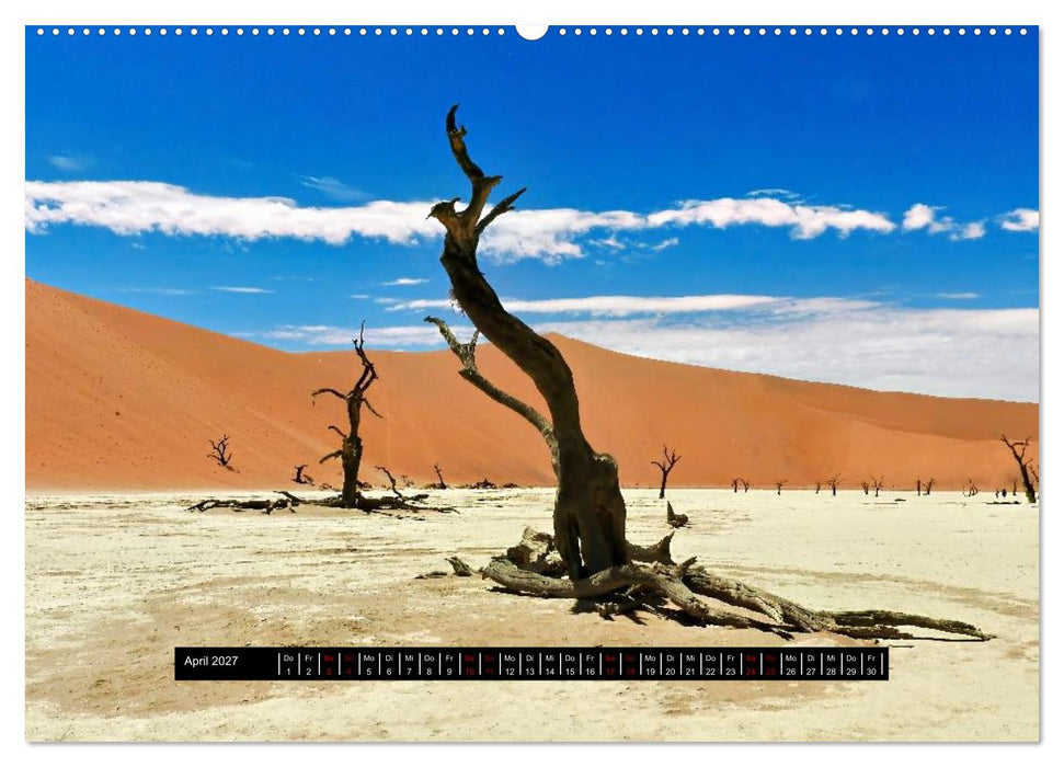 Afrika - Vielfalt in Flora und Fauna (CALVENDO Wandkalender 2027)