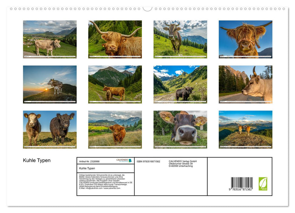 Kuhle Typen (CALVENDO Premium Wandkalender 2027)