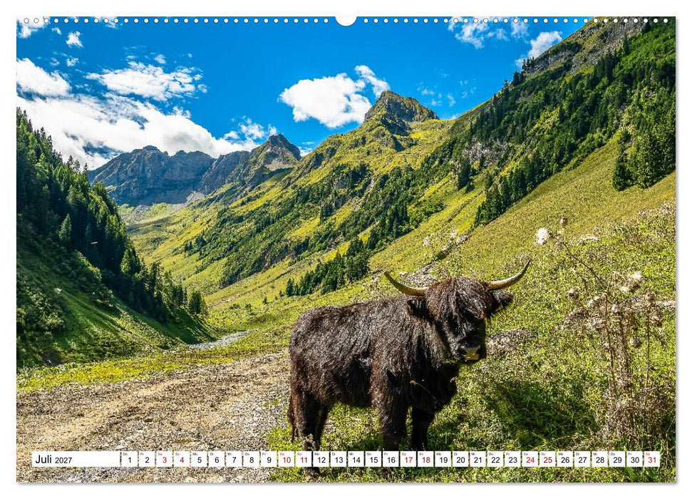 Kuhle Typen (CALVENDO Premium Wandkalender 2027)