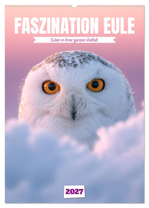 Faszination Eule - Eulen in ihrer ganzen Vielfalt (CALVENDO Wandkalender 2027)