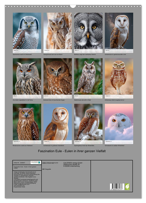 Faszination Eule - Eulen in ihrer ganzen Vielfalt (CALVENDO Wandkalender 2027)