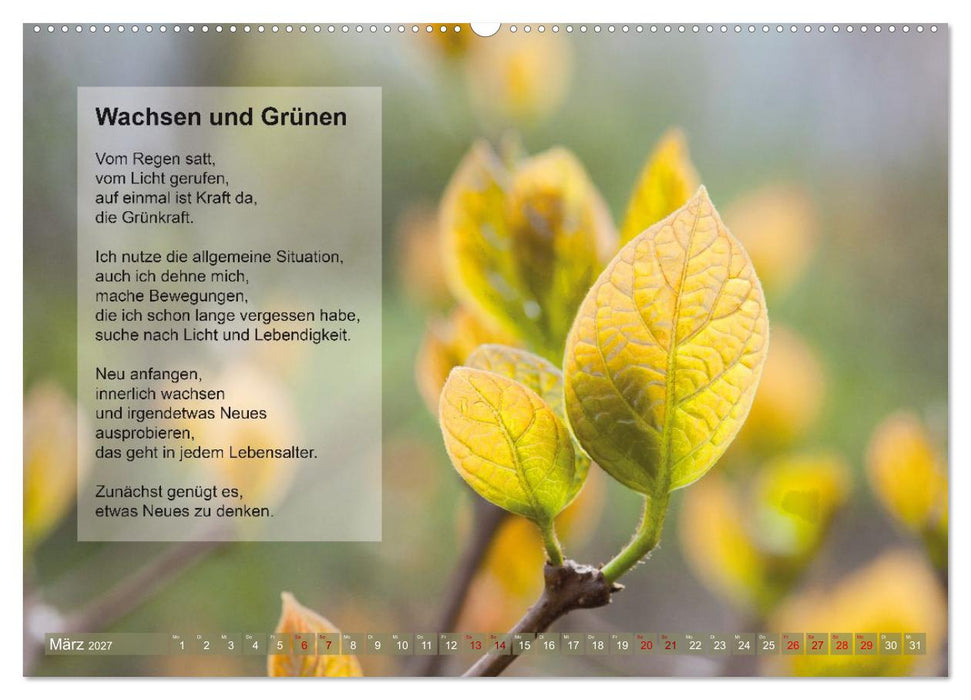 Im Rhythmus der Jahreszeiten und des Kirchenjahres (CALVENDO Premium Wandkalender 2027)