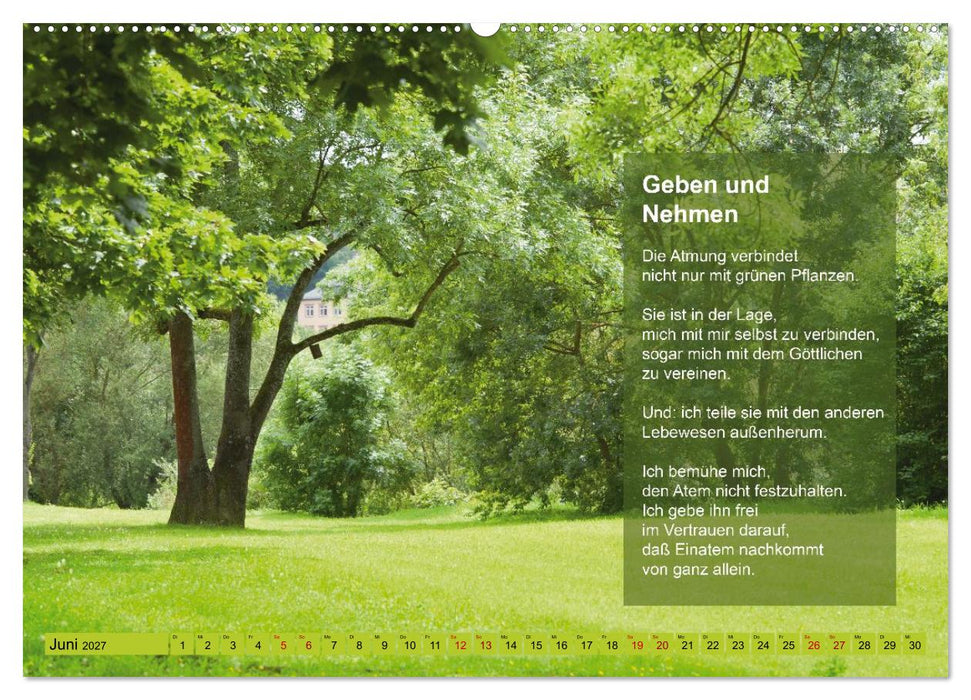 Im Rhythmus der Jahreszeiten und des Kirchenjahres (CALVENDO Premium Wandkalender 2027)
