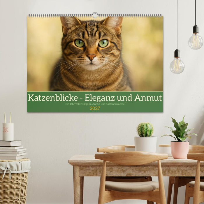 Katzenblicke – Eleganz und Anmut (CALVENDO Wandkalender 2027)