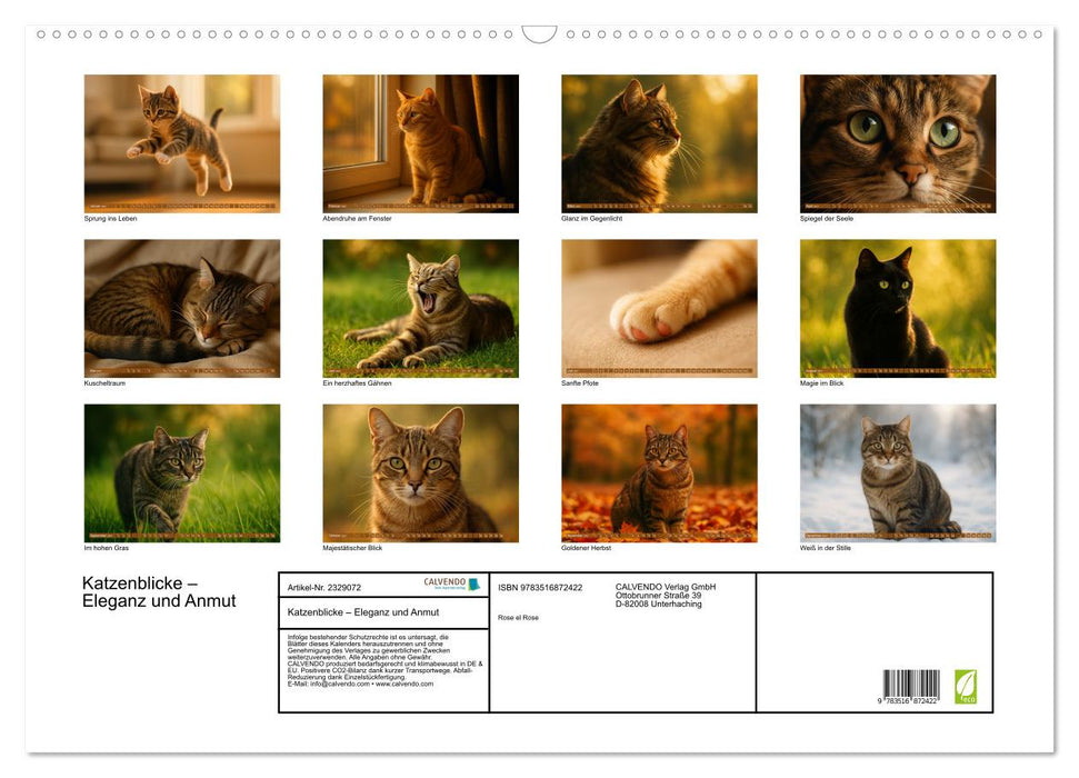 Katzenblicke – Eleganz und Anmut (CALVENDO Wandkalender 2027)