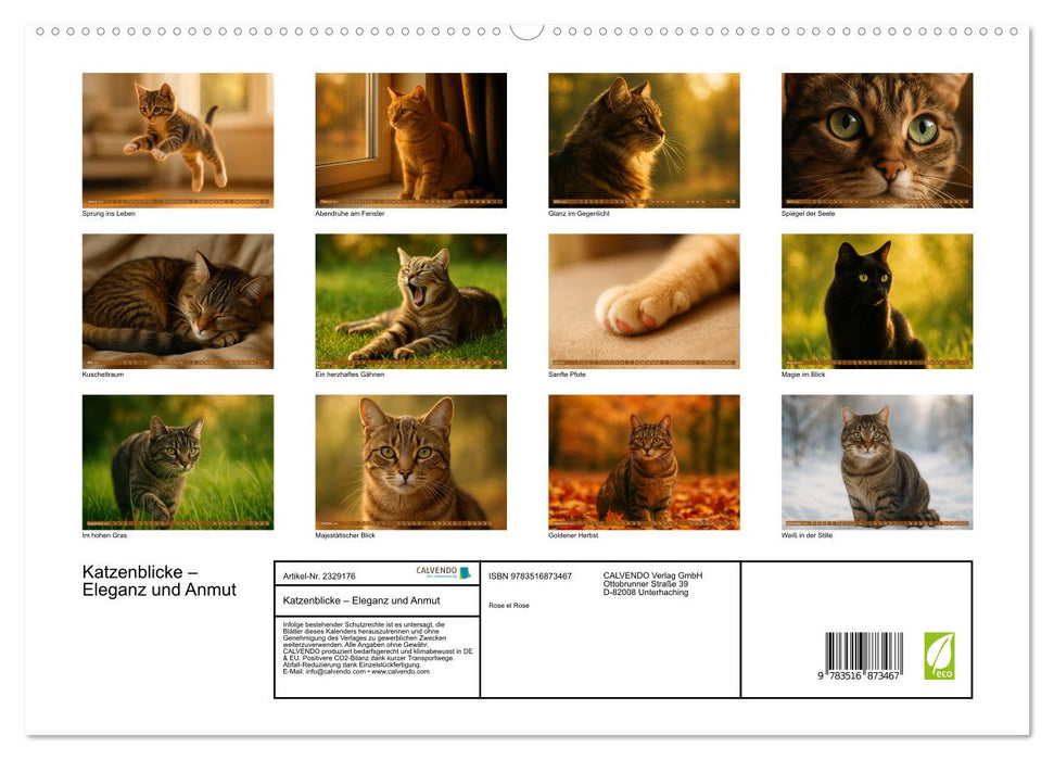 Katzenblicke – Eleganz und Anmut (CALVENDO Premium Wandkalender 2027)