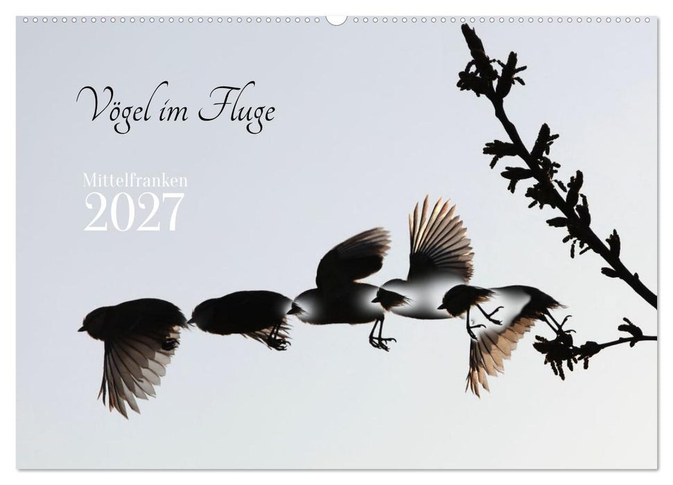 Vögel im Fluge (CALVENDO Wandkalender 2027)