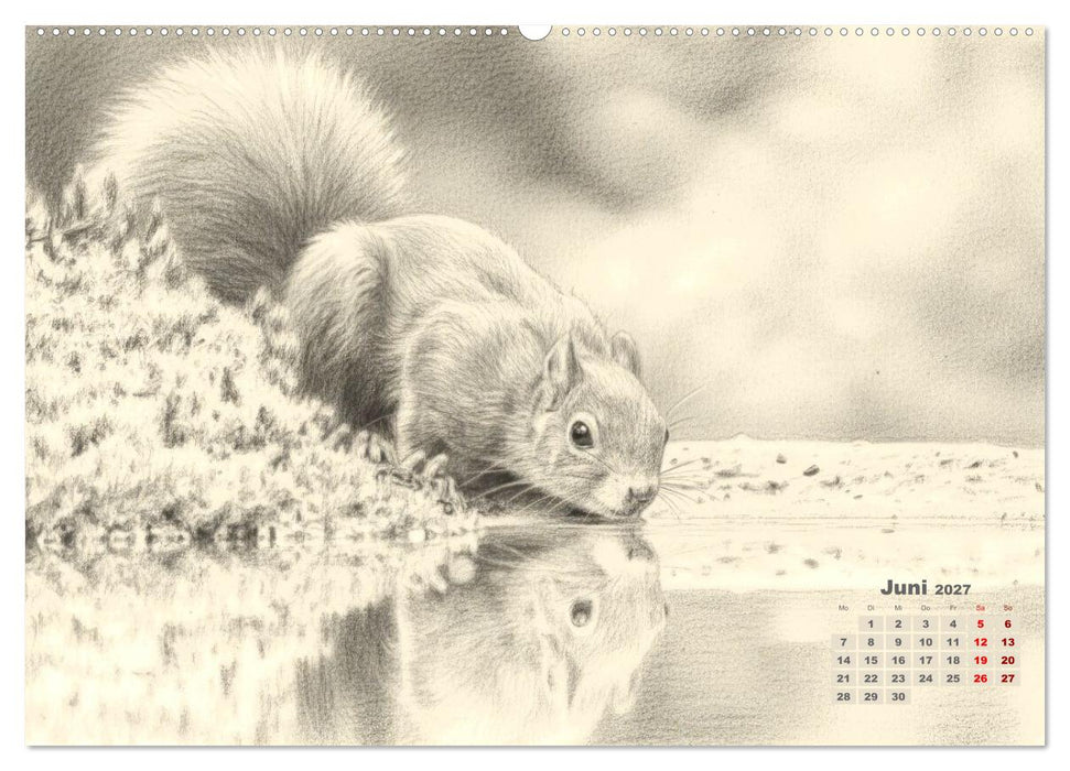 Wilde Seelen - Tierische Momente in Graphit (CALVENDO Wandkalender 2027)