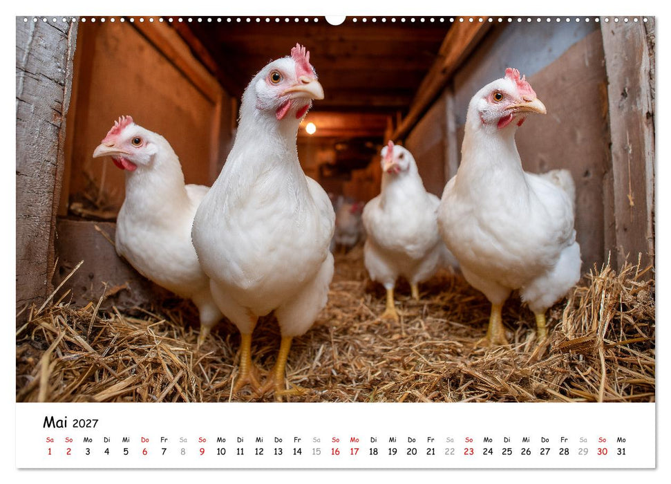 Hans der Bauer und seine Tiere auf dem Bauernhof (CALVENDO Premium Wandkalender 2027)