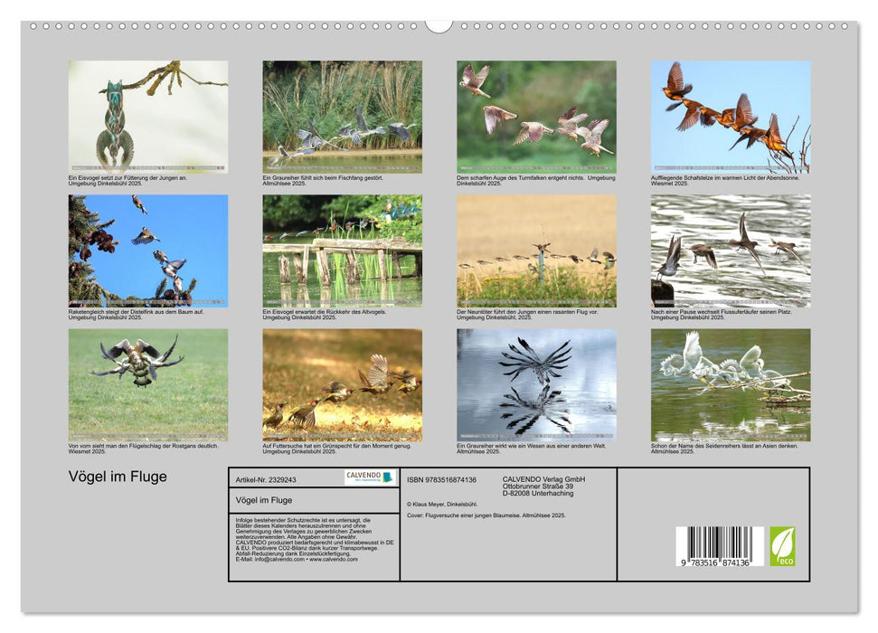 Vögel im Fluge (CALVENDO Premium Wandkalender 2027)