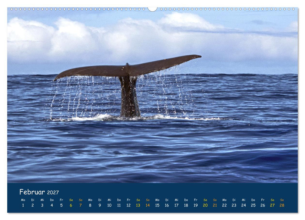 Faszinierende Tierwelt von Mauritius - Magische Momente der Natur (CALVENDO Premium Wandkalender 2027)