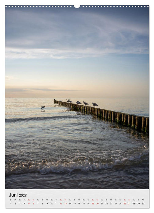 Fischland-Darß-Zingst - Im Licht des Nordens (CALVENDO Wandkalender 2027)