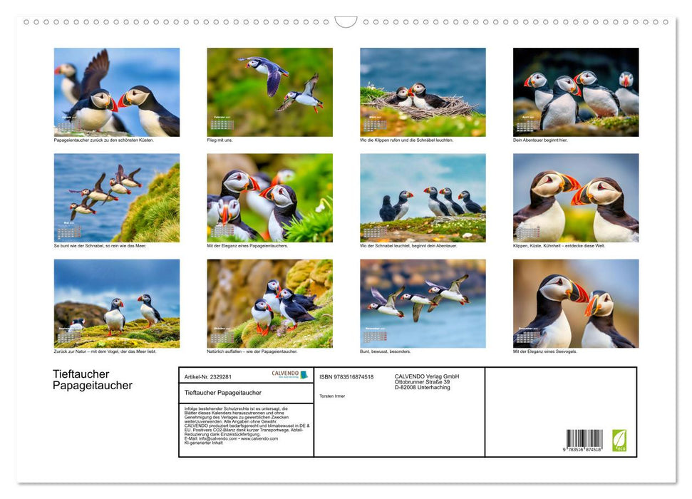 Tieftaucher Papageitaucher (CALVENDO Wandkalender 2027)