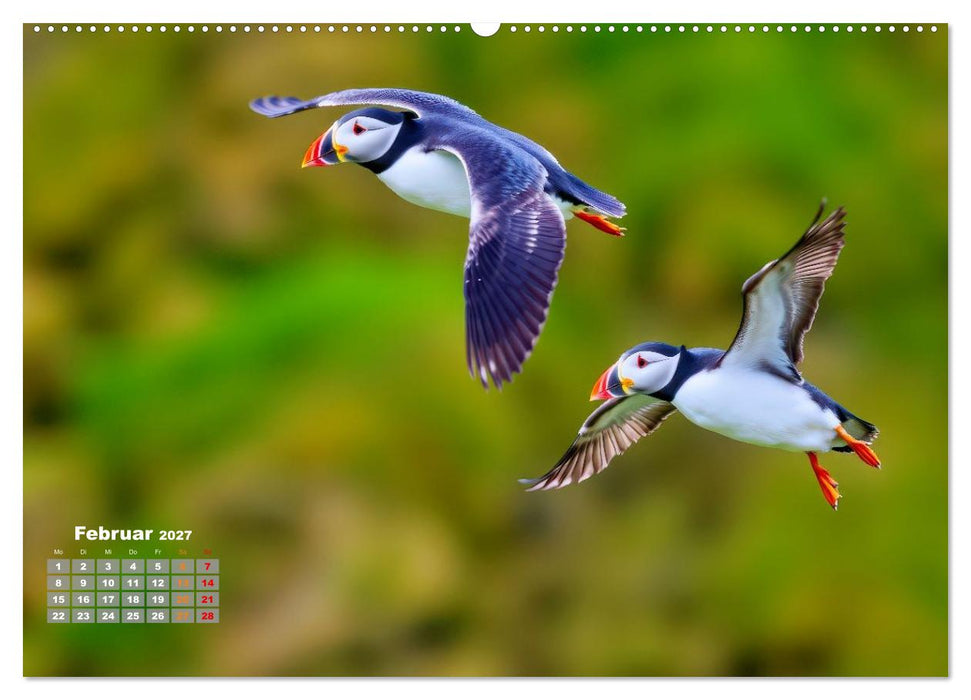 Tieftaucher Papageitaucher (CALVENDO Wandkalender 2027)