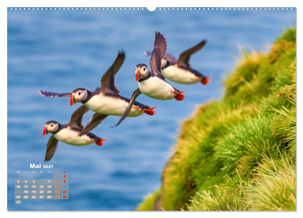 Tieftaucher Papageitaucher (CALVENDO Premium Wandkalender 2027)